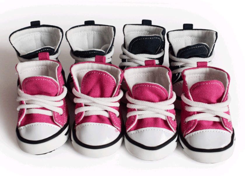 Stylish Denim Canvas Dog Shoes: Trendy, Waterproof, And Non-Slip-1