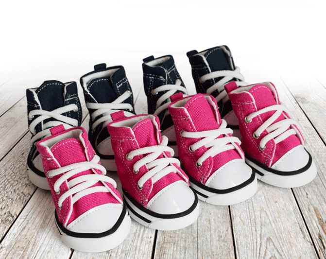 Stylish Denim Canvas Dog Shoes: Trendy, Waterproof, And Non-Slip-3