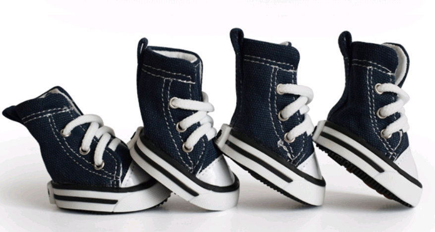 Stylish Denim Canvas Dog Shoes: Trendy, Waterproof, And Non-Slip-4