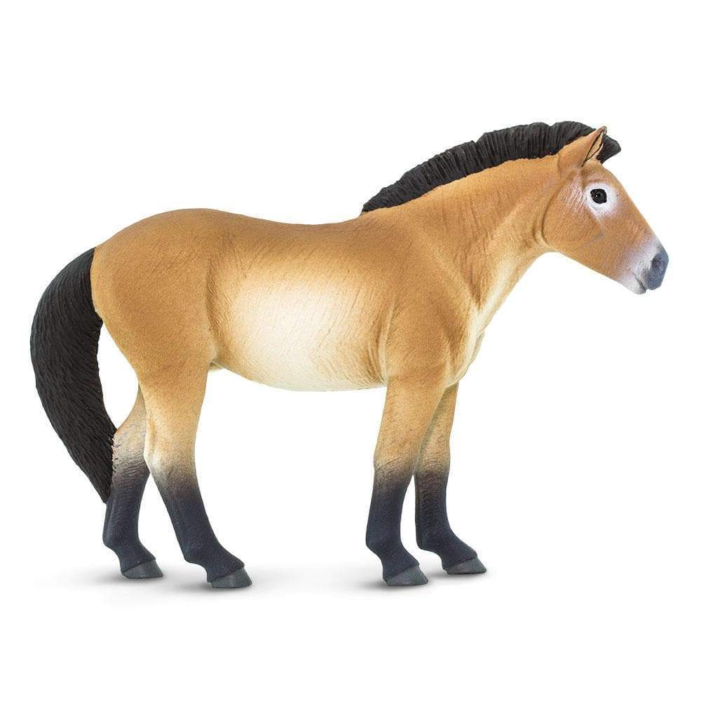 Przewalski's Horse Toy