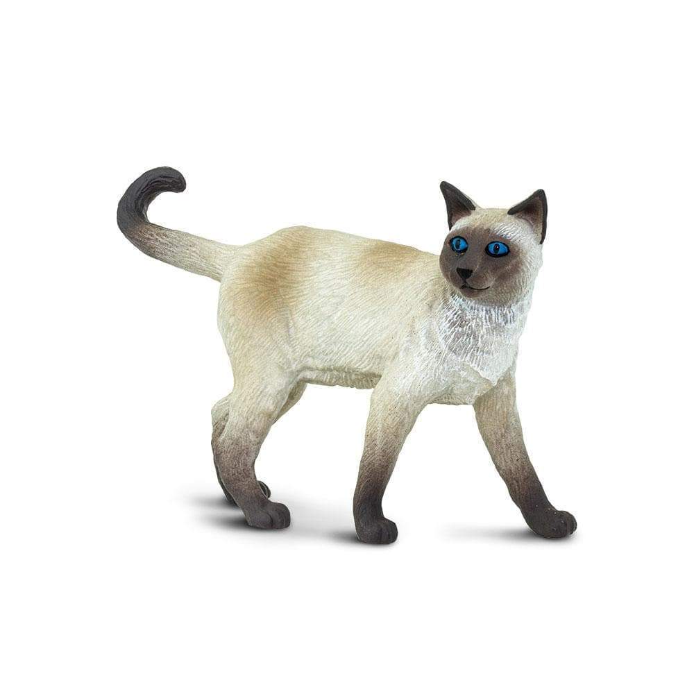Siamese Toy-1