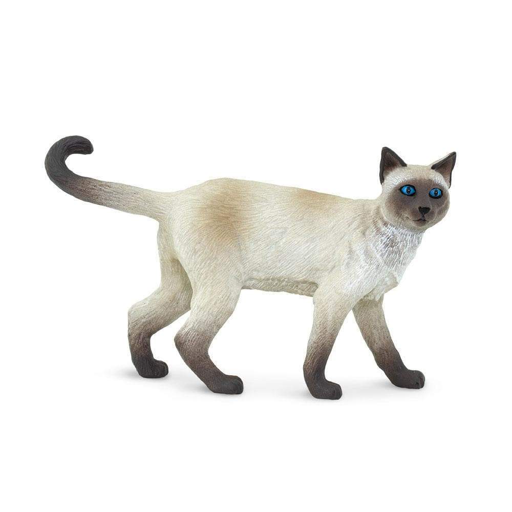 Siamese Toy-0