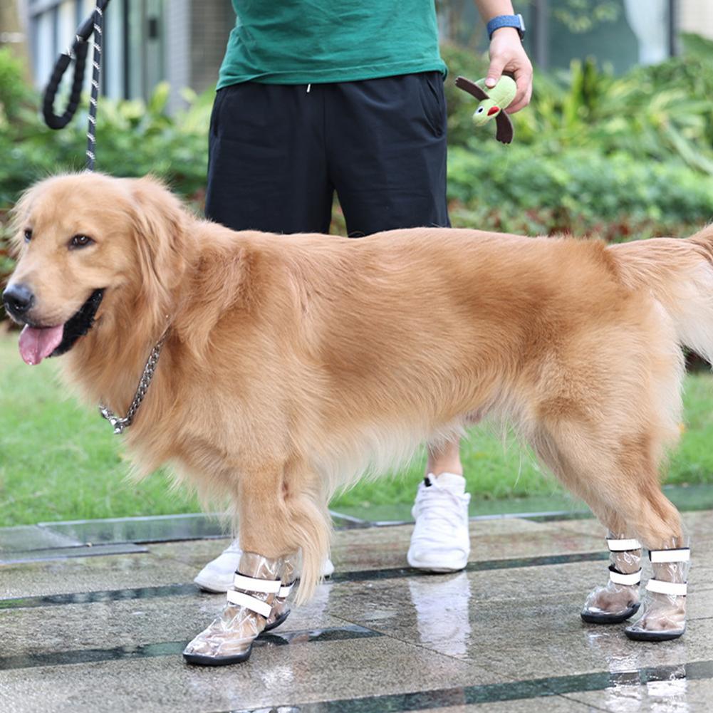 Waterproof Shoes For Pets Splash Proof-0