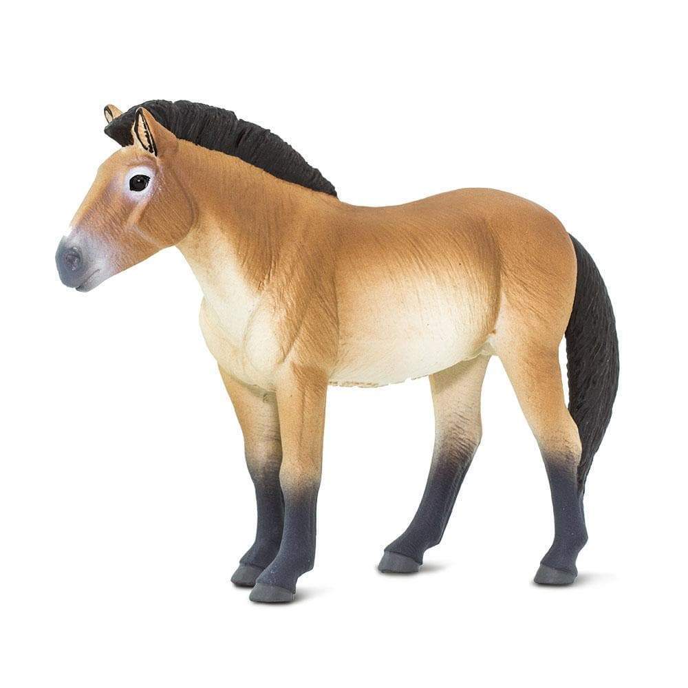 Przewalski's Horse Toy