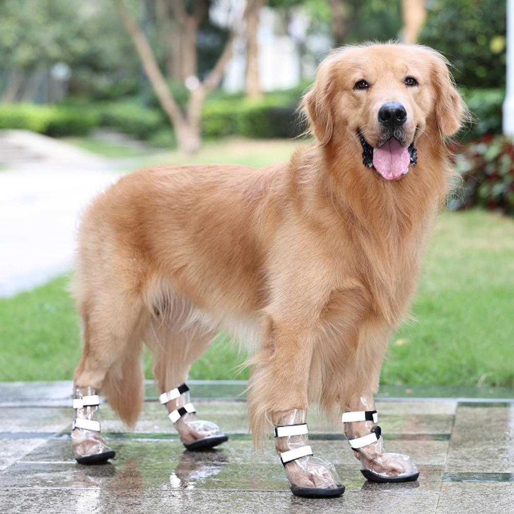 Waterproof Shoes For Pets Splash Proof-3