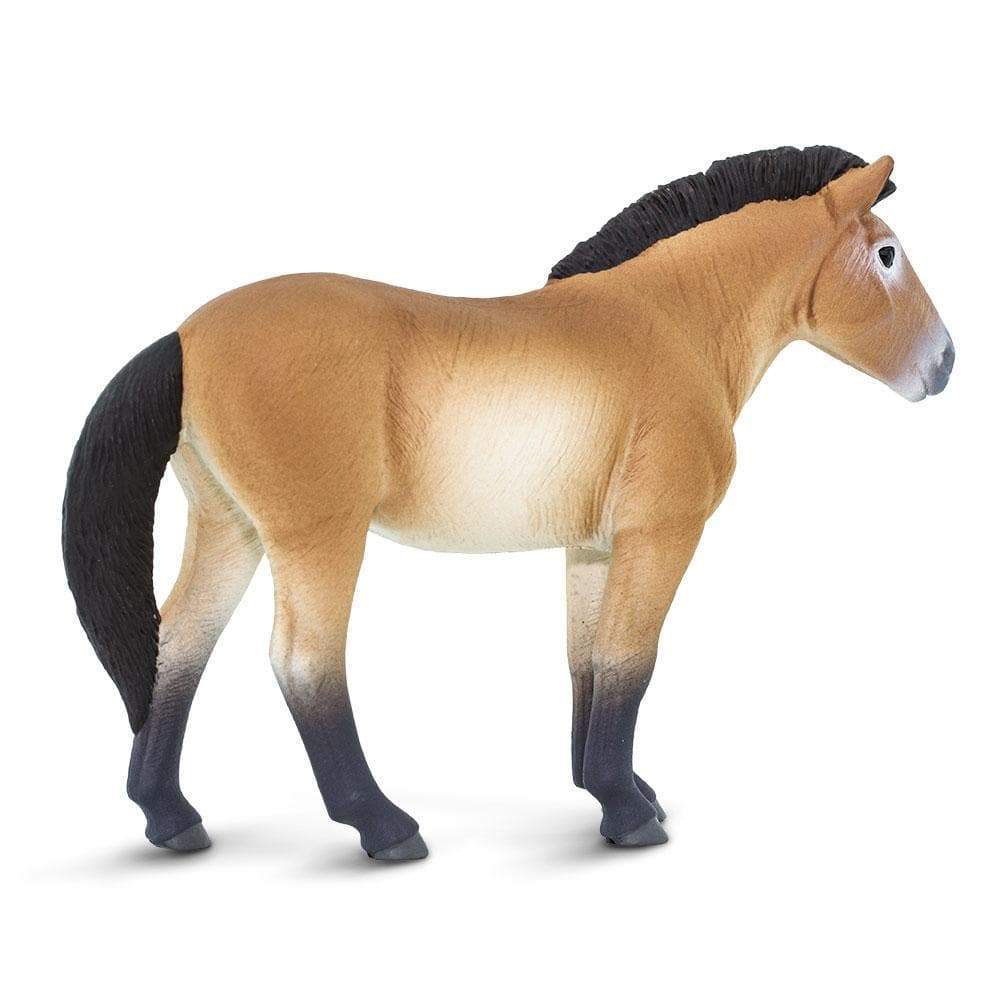 Przewalski's Horse Toy