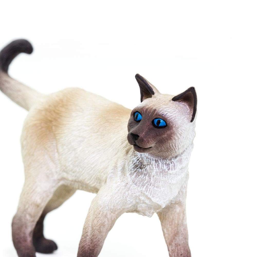 Siamese Toy-4