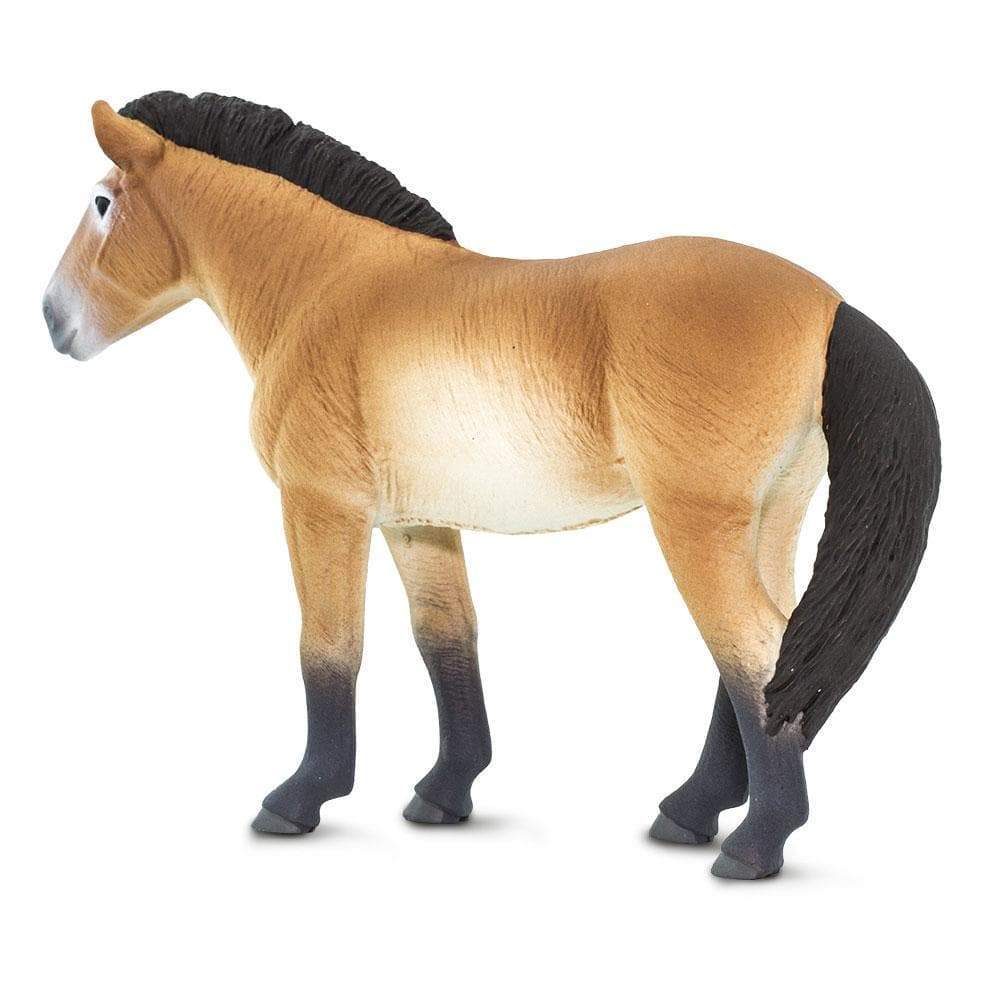Przewalski's Horse Toy