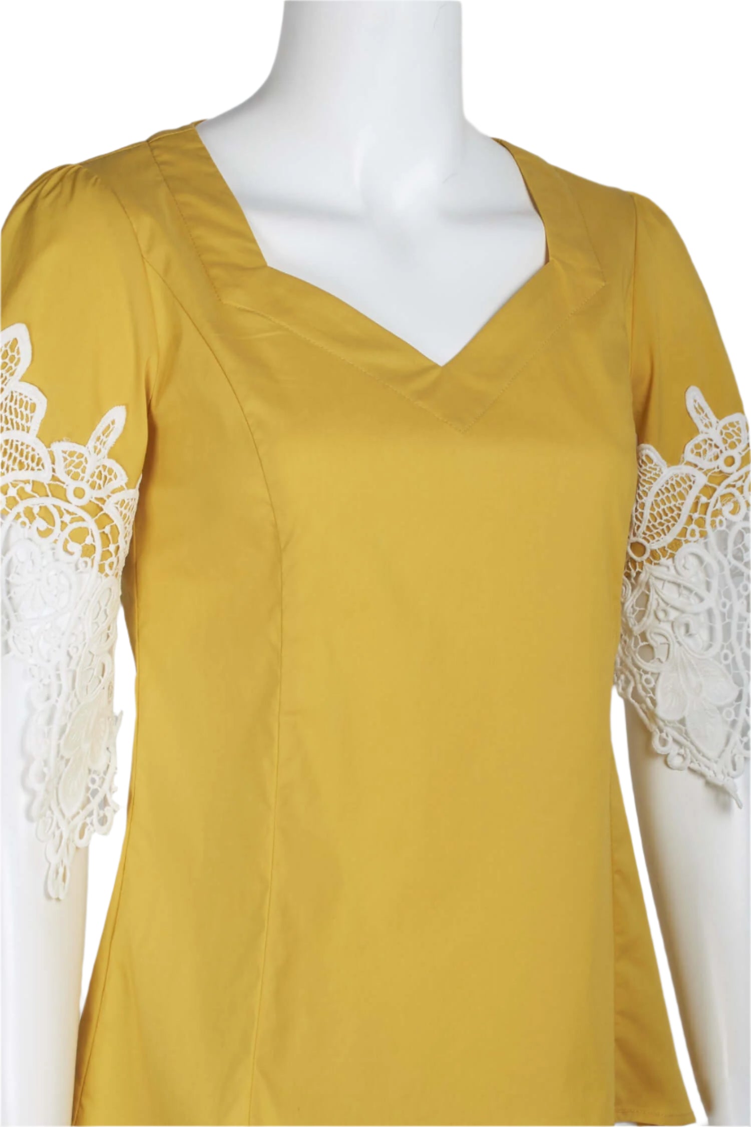 Why Dress V-Neck Short Lace Sleeve Zipper Back Cotton Top